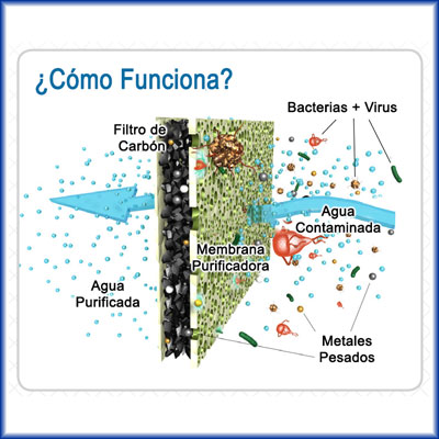 Qué filtro de agua elegir? - Biopur habitat